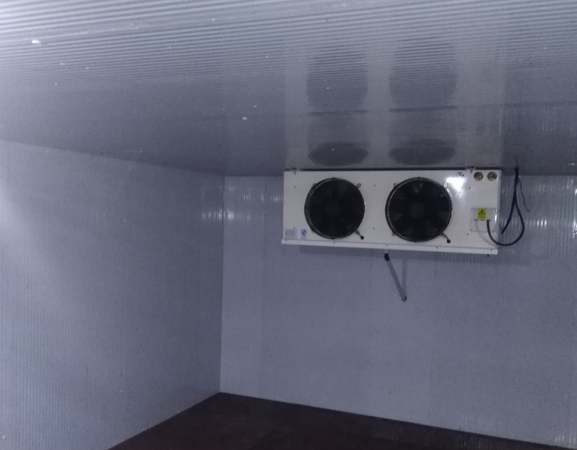 �������S��